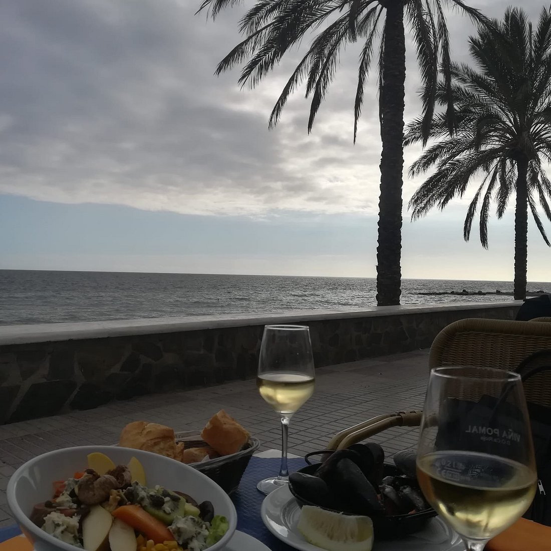 Terraza junto al mar con palmeras